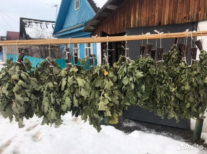 Веники березовые
