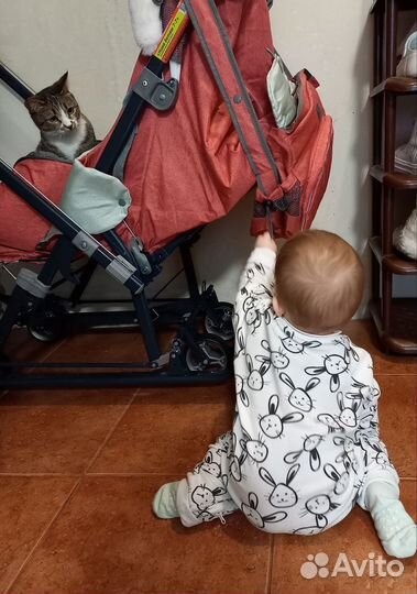 Детские санки коляска ника