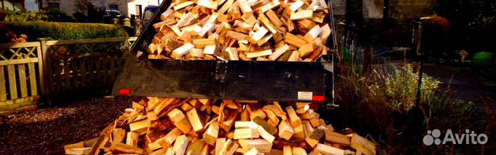 Кора березы