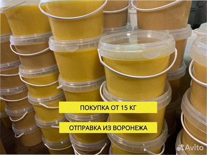Мед оптом купить