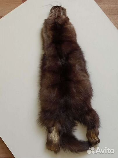 Соболиная шкура
