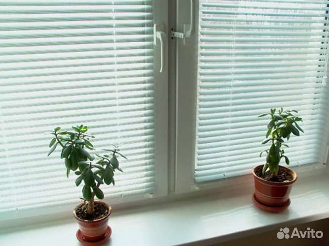 Жалюзи, москитные сетки, тонирование окон