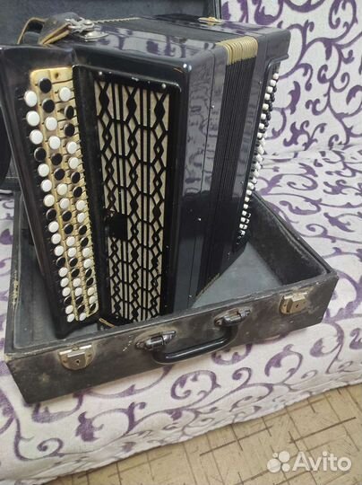 Баян тульский