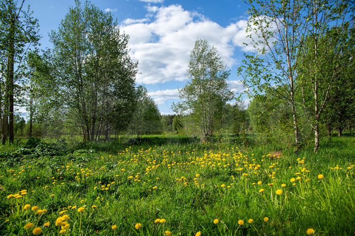 Участок 1,2 га (СНТ, ДНП)