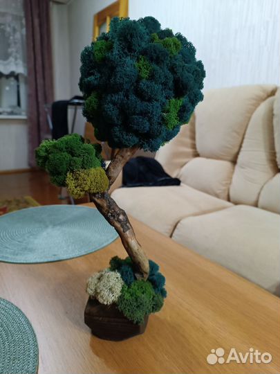 Дерево из мха, мох