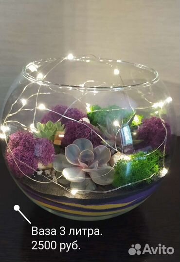 Флорариум (растения)