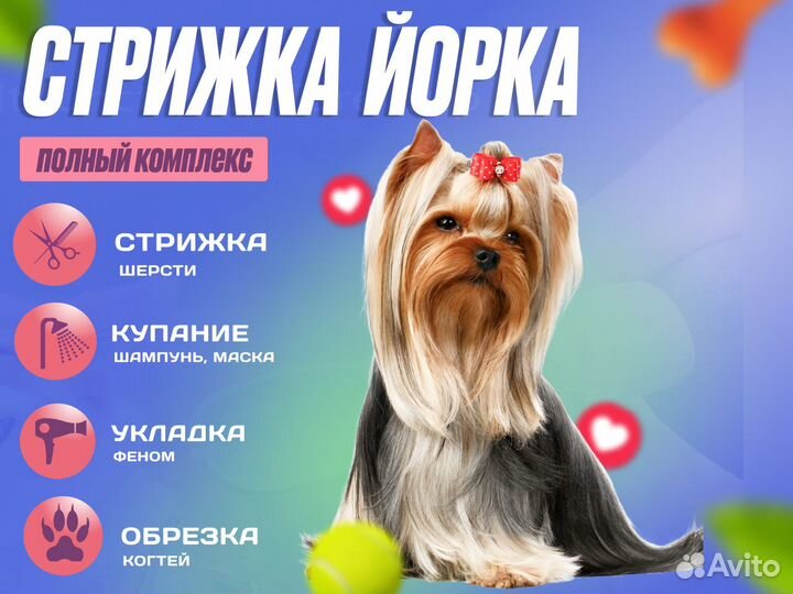 Стрижка собак и кошек