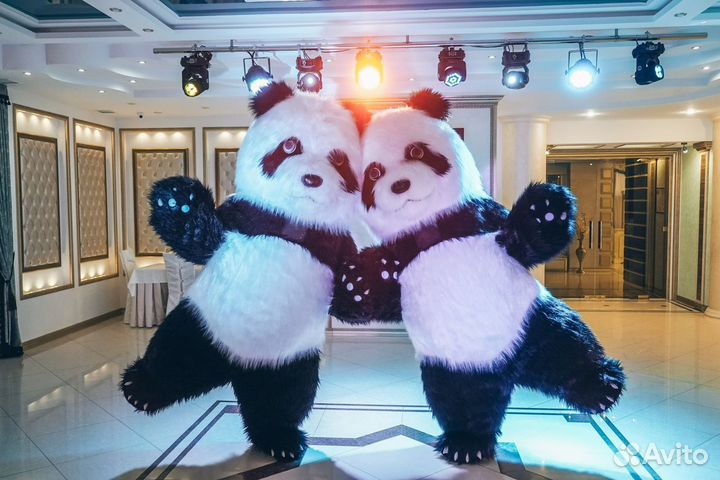 Поздравление мишки