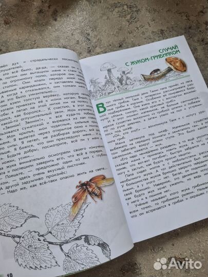 Великан на поляне плешаков