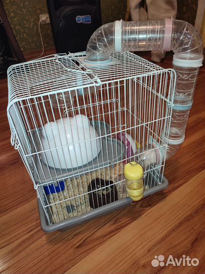 Клетка с хомяком