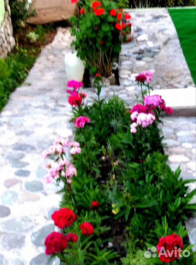 Отдых в абхазии