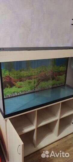 Продам большой аквариум
