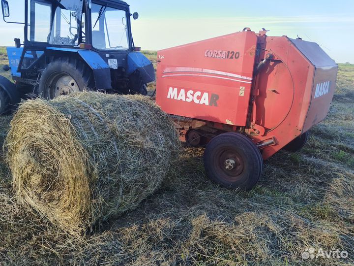 Продам сено в рулонах