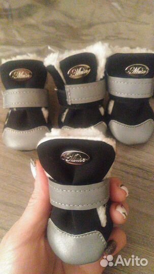 Одежда и обувь для средних собак