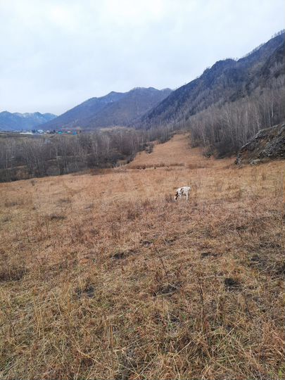 Участок 3,5 га (СНТ, ДНП)