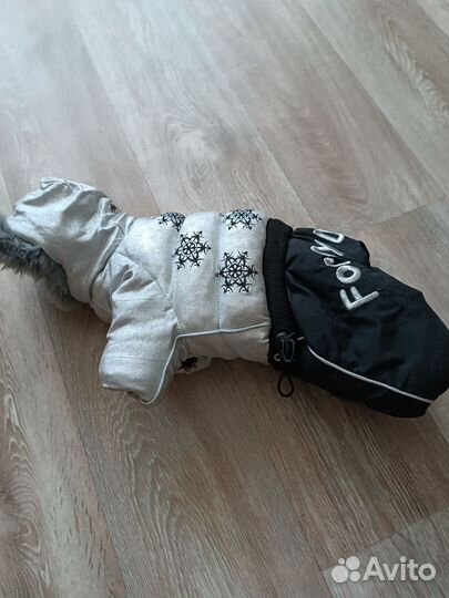 Комбинезон на маленькую собаку