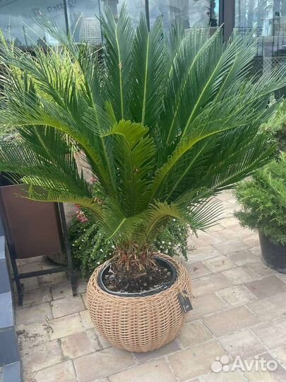 Кашпо напольное