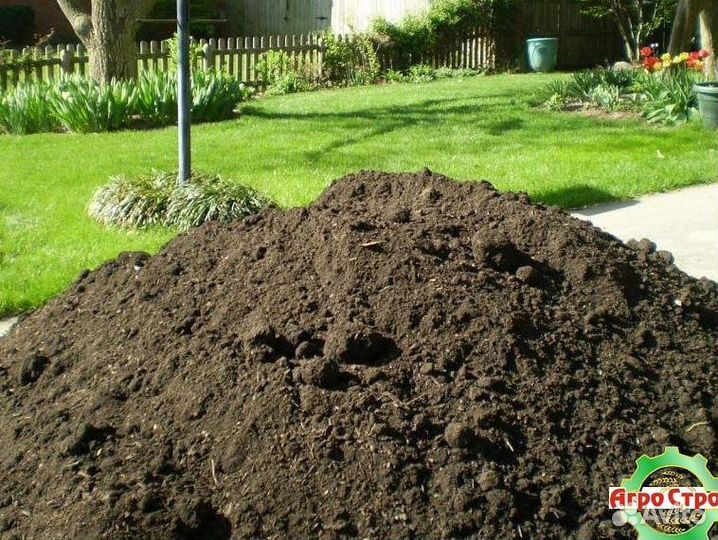 Грунт для газона