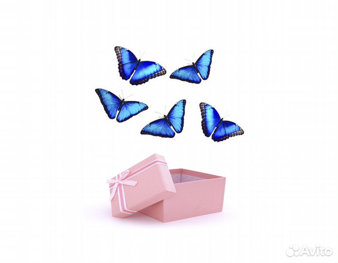 Салют из бабочек на праздники и торжества