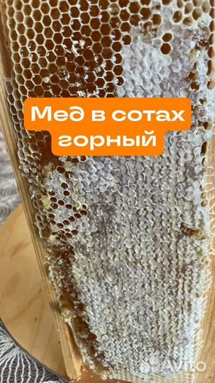 Дагестанский горный мёд из собственной пасеки