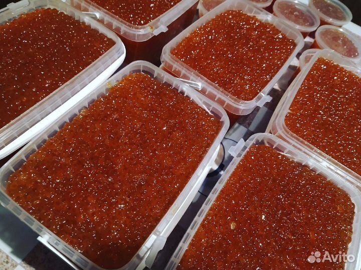 Красная икра горбуши