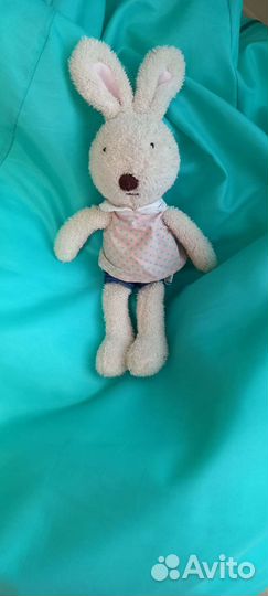 Заяц в костюме