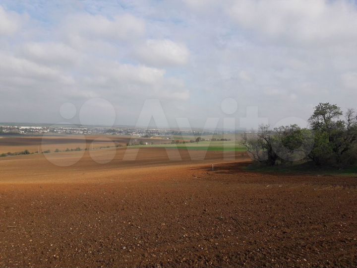 Участок 2,3 га (СНТ, ДНП)