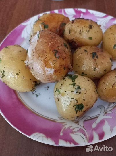 Картофель урожай 2023