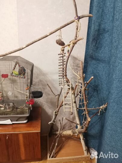 Дерево для попугаев