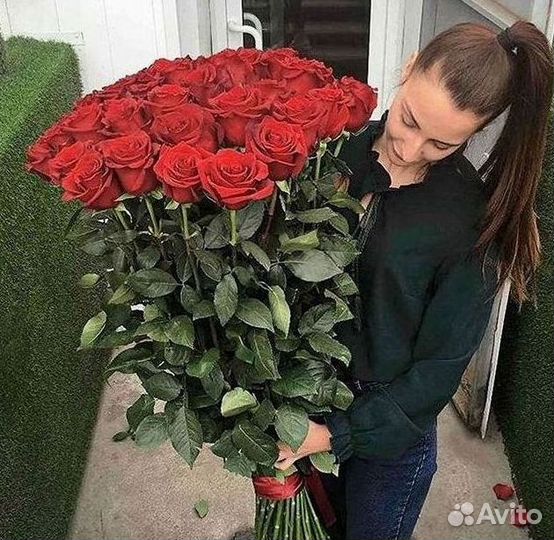 51 Роза, Букеты Цветы Розы 25 101 501 1001