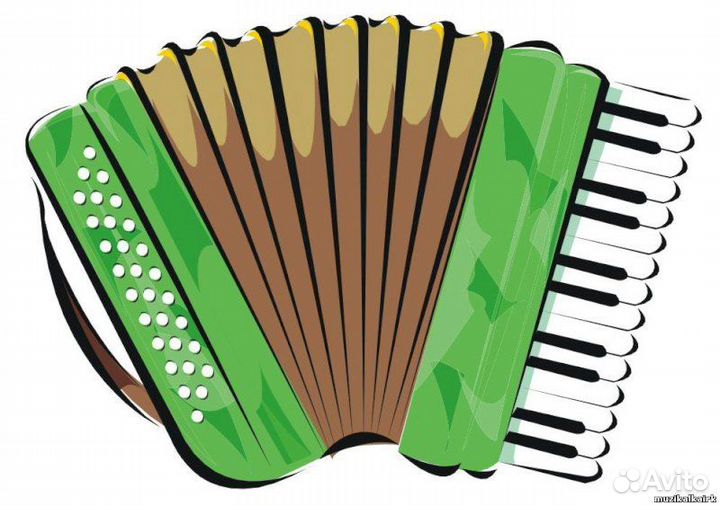 Аккордеон 