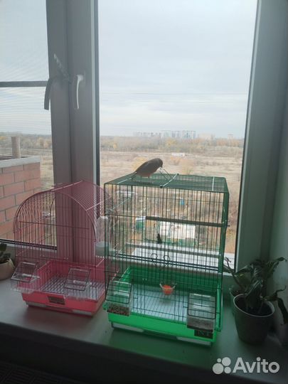 Клетка для канареек бу