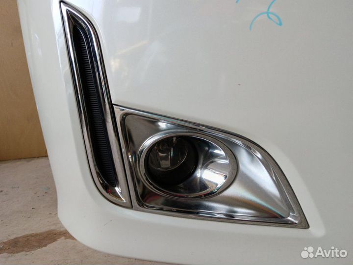 Nose cut Nissan Elgrand TE52 2010