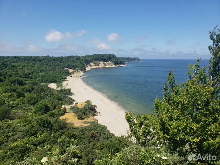 Индивидуальные путешествия а куршскую косу