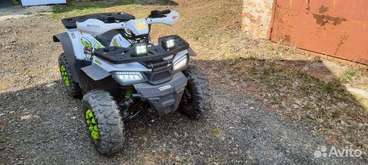 Motoland Wild Basic 125