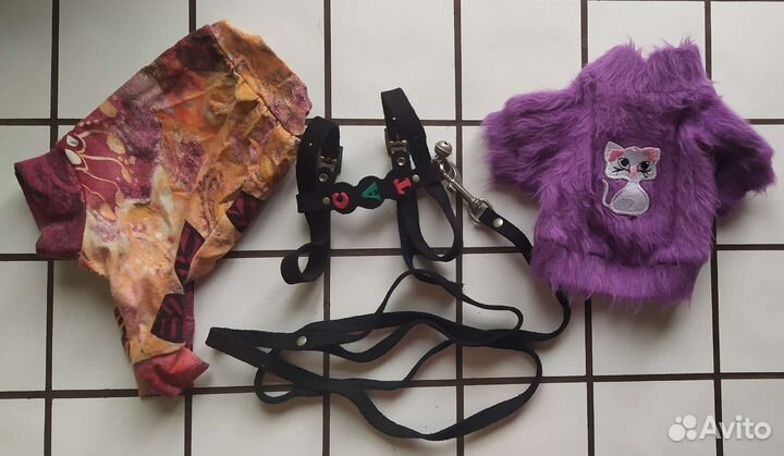 Одежда для кошки