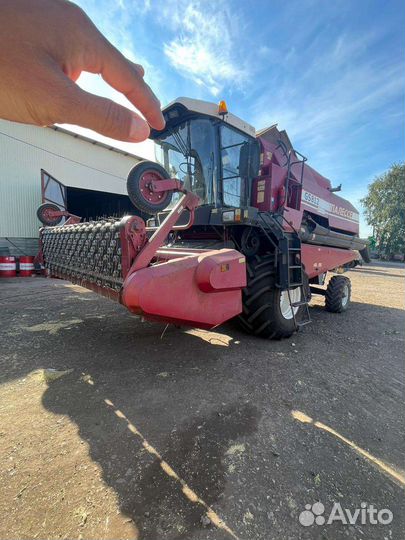 Зерно пшеница ячмень