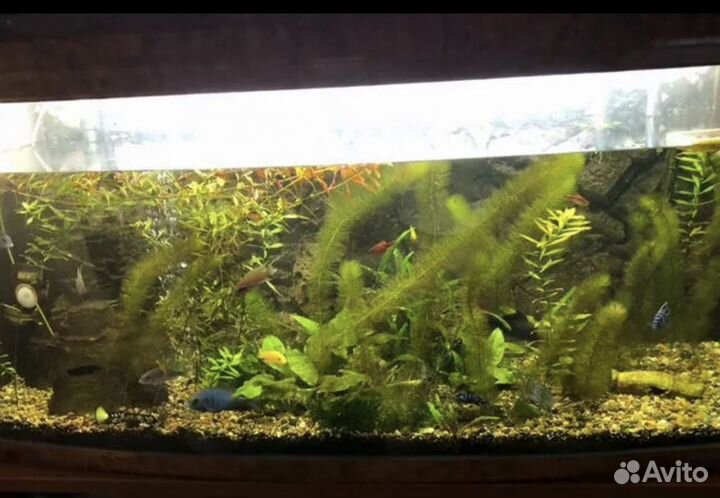 Аквариум с тумбой