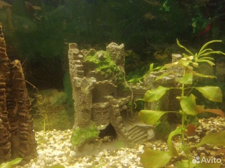 Аквариум с рыбками и полная комплектация
