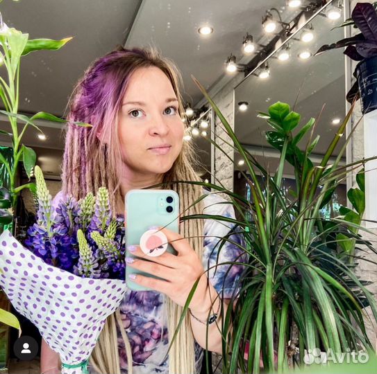 Де дреды бу