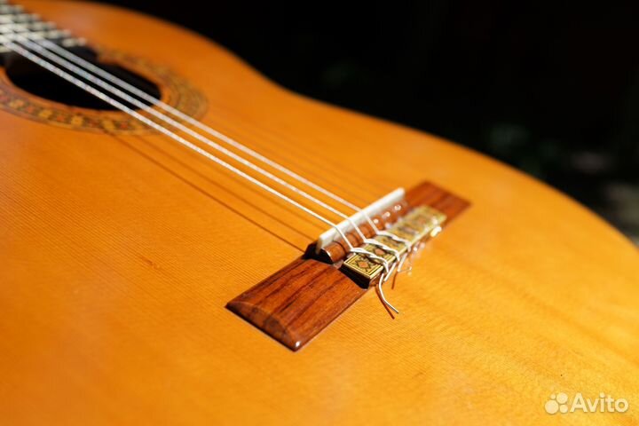 Гитара suzuki (Japan)