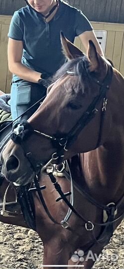 Мексиканская уздечка для лошади