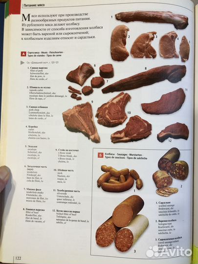 Большой иллюстрированный словарь