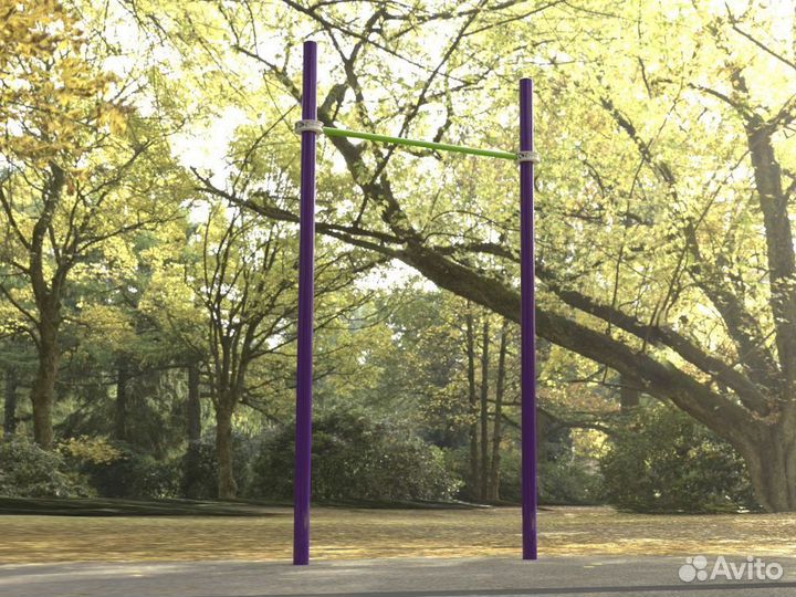 Турник классический для занятий Воркаут Pioner A17391