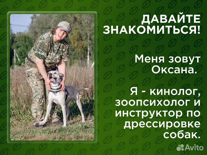 Кинолог. Профессиональный уход. Передержка