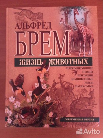 Большой энциклопедический словарь