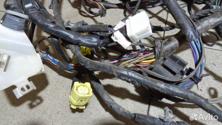 Проводка (коса) Nissan Primera (P12)