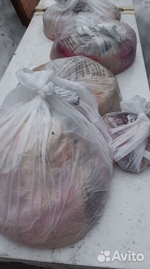 Корм для живатных