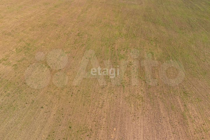 Участок 38,1 сот. (СНТ, ДНП)