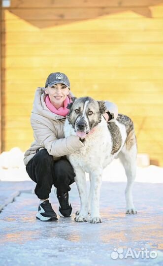 Предательство души